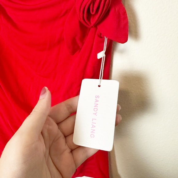 New Sandy Liang Georgia Top Red Rose 3D Floral Applique Medium - Picture 7 of 12